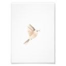 Recherche de oiseau art Pour enfants