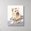 Suche nach yorkshires poster leinwandbilder Hund
