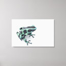Suche nach dendrobates poster Horizontal