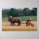 Suche nach landwirtschaft poster Pferd