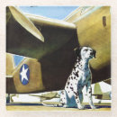 Suche nach flugzeuge untersetzer Tiere