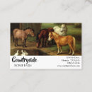 Recherche de canard blanc cartes visite Animal