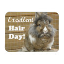 Suche nach lustige kaninchen magnete Hase