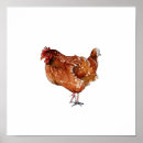 Suche nach hennen poster Vogel