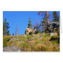 Recherche de mulets vœux cartes Cerf