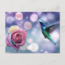 Recherche de originales cartes postales Rose