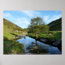 Suche nach glücklich baum der poster Landschaft