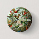 Recherche de oiseau vintage badges Colibri