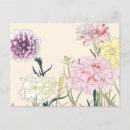 Recherche de oeillets cartes cartes postales Floral