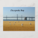 Recherche de baie de chesapeake cartes postales Plage
