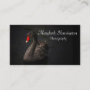 Suche nach schnabel visitenkarten Vogelvogel