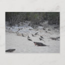 Recherche de exuma posters Plage