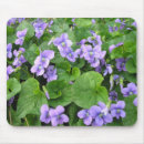 Suche nach veilchen mousepads Natur