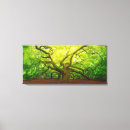 Suche nach charleston leinwandbilder Südcarolina