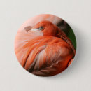 Suche nach rosa federn buttons Flamingo