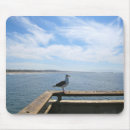 Suche nach seemöwe mousepads Vögel
