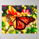 Recherche de cours de couleurs art Nature