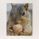 Suche nach nüsse puzzle Natur