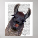 Suche nach lustige lamas poster Tierfreunde