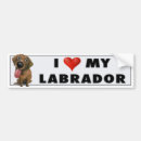 Suche nach schokoladen labrador autoaufkleber Labradore