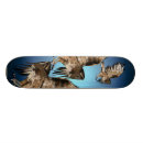 Recherche de faucon skateboards Oiseaux