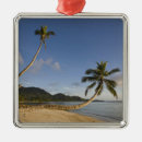 Suche nach insel der palmen ornamente Baum