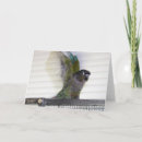 Recherche de conures vœux cartes Conure à joues vertes