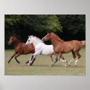 Suche nach together poster Bob langrish