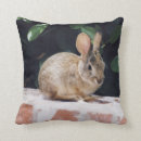 Recherche de lièvre sauvage coussins Animaux