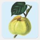 Suche nach grüner apfel aufkleber Natur
