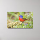Recherche de uni impressions sur toile Oiseau