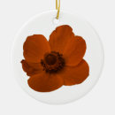 Suche nach anemone ornamente Bunt
