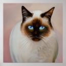 Suche nach balinese poster Katze