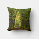 Recherche de midwest coussins Michigan
