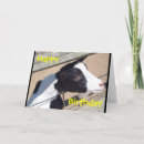 Recherche de photo de chèvre cartes postales Photographie