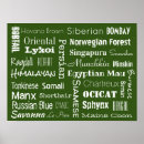 Recherche de races de chat posters Chats