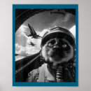 Suche nach kämpfer flugzeuge poster Geschichte
