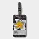 Suche nach frangipani gepäckanhänger Hawaiisch