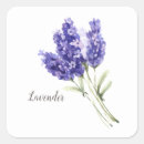 Suche nach lavendel blume aufkleber Hübsch