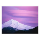 Recherche de froid posters Rose