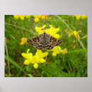 Recherche de mère nature posters Insecte