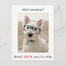 Recherche de westies cartes postales Drôle
