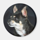 Recherche de purebreed Animal familier