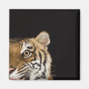 Suche nach ohren magnete Tier