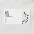 Suche nach ameisen visitenkarten Ausrottung