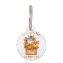 Recherche de automne animaux articles Citrouille