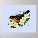 Suche nach gartenvögel poster Wild lebende tiere