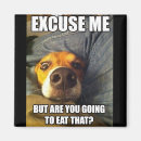 Suche nach redewendungen magnete Niedlich