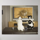 Suche nach nahrung poster Horizontal