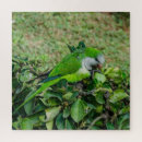 Recherche de de perroquet puzzles Nature